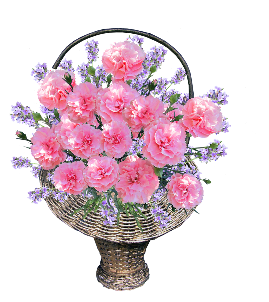 basket, flowers, flower background, carnations, pink, flower wallpaper, arrangement, beautiful flowers, cut out, nature, isolated